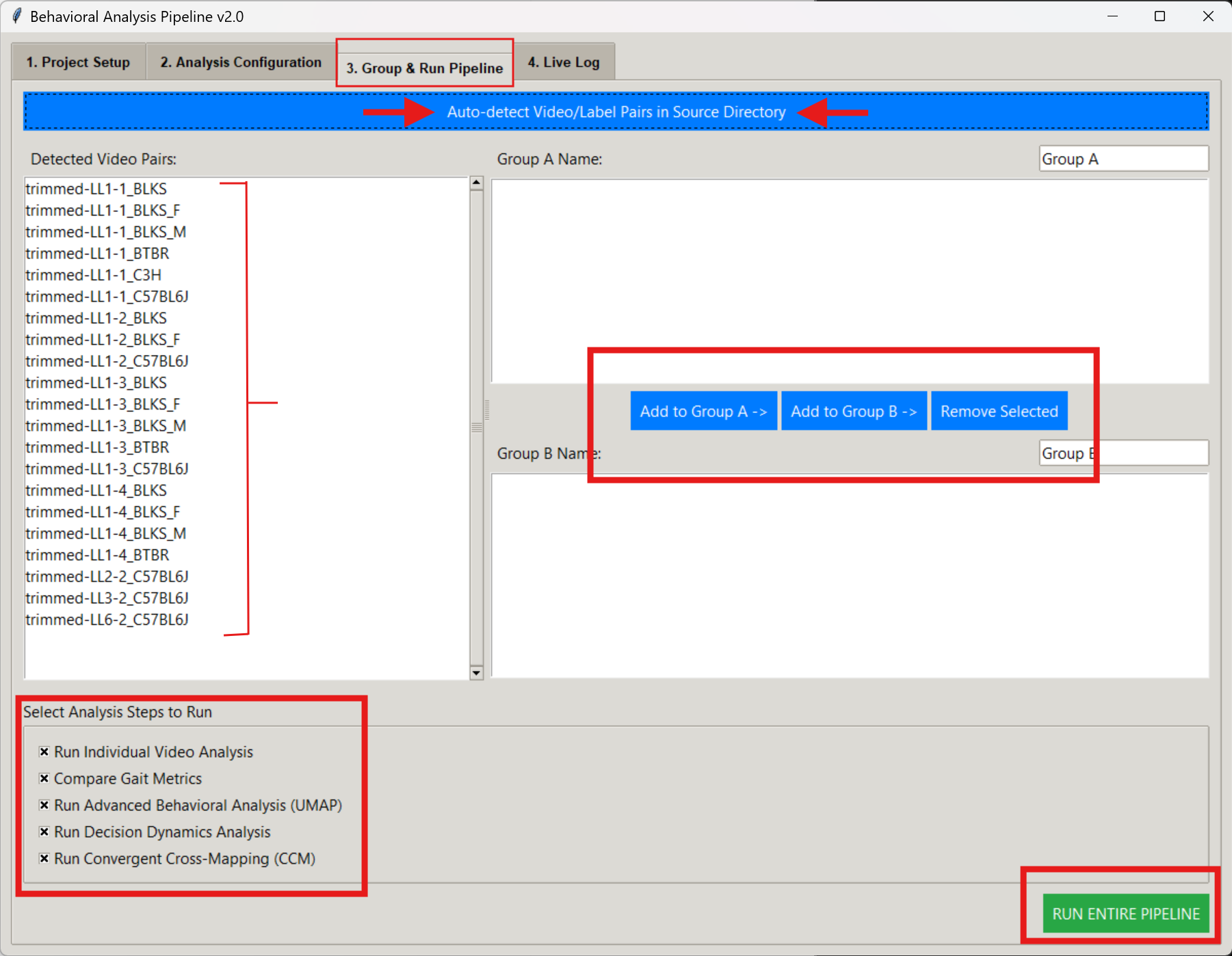 Screenshot of Tab 3 in the GUI for assigning video groups and running the pipeline.