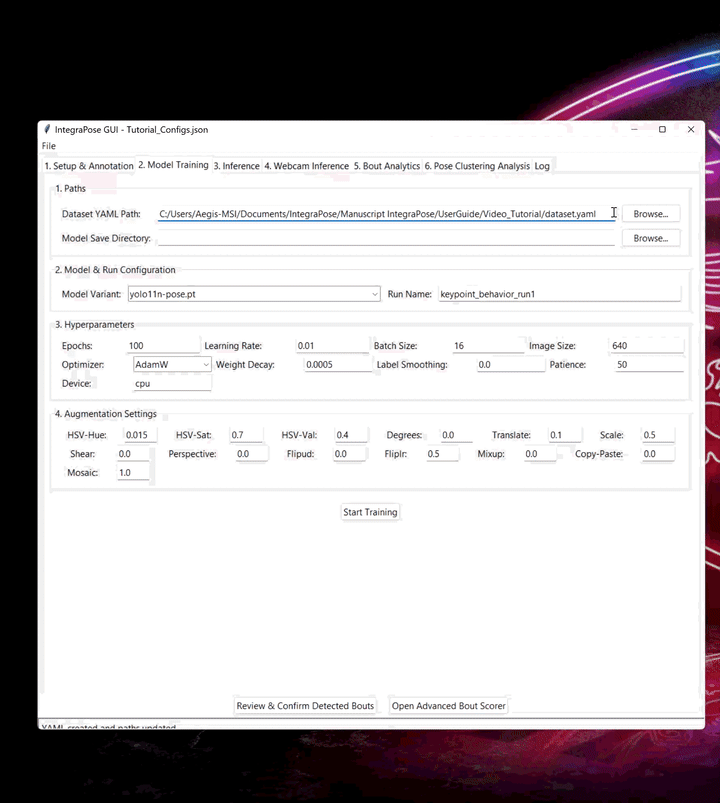 GIF demonstrating model training