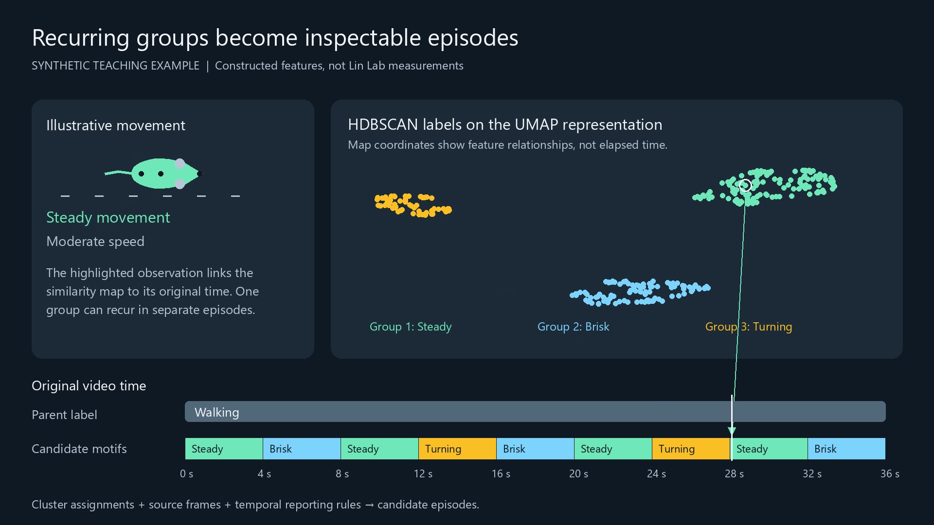Synthetic Walking example linking three feature-space groups to recurring segments on the original timeline.