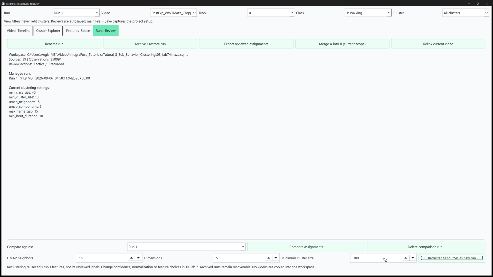 Runs and Review panel showing workspace sources and observations, run settings, export controls, and a minimum cluster size of 100 prepared for a comparison run.