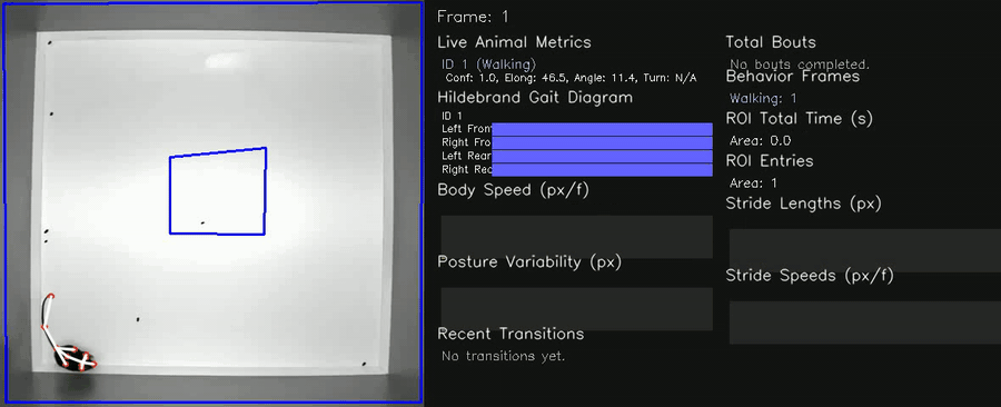 Gait analysis dashboard sample