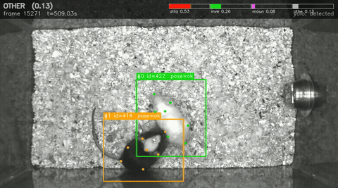 MARS mouse contact transition annotation overlay