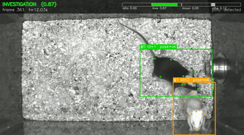 MARS mouse investigation annotation overlay