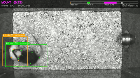 MARS mouse mount annotation overlay